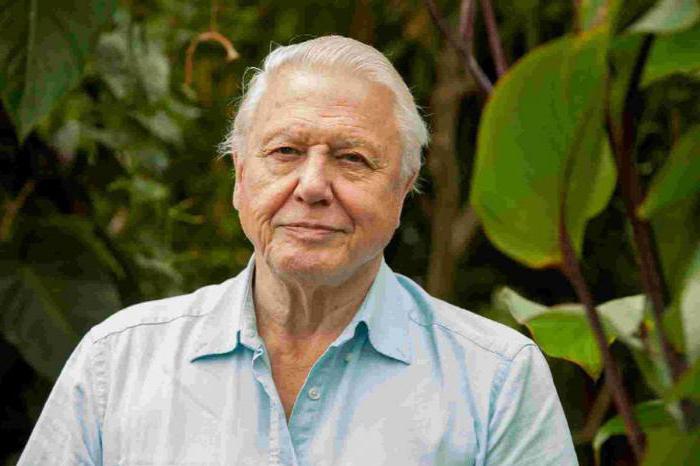 David Attenborough: filmography, biography and personal life. - David Attenborough, Air force, The television, Longpost