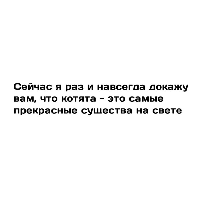 Котята - Моё, ВКонтакте, Котята, Животные, Исчадие ада, Длиннопост, Сингулярность комиксы, Кот