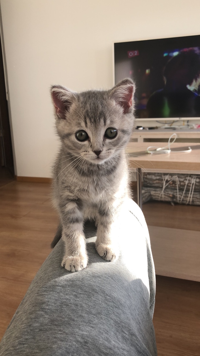 �� ����� ������� �� ������� (������ ��������)�