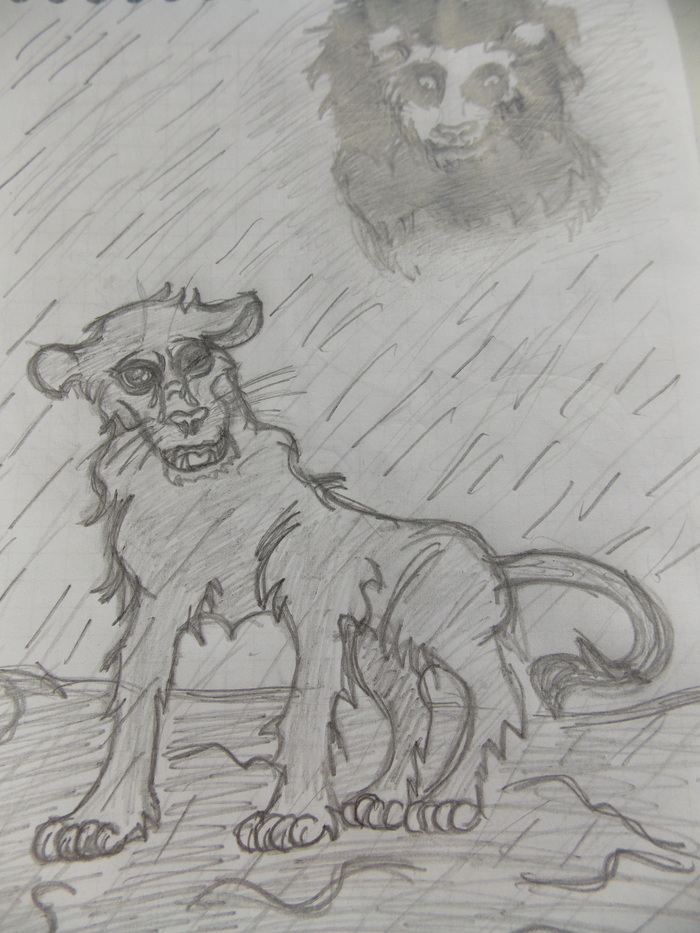 My drawings - My, a lion, Cartoons, Pencil drawing, Rain, Joker