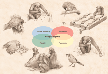 The principle of the brain of mammals (including humans) - Longpost, Video, , Consciousness, Intelligence, The senses, Intelligence, Brain, Person, Mammals