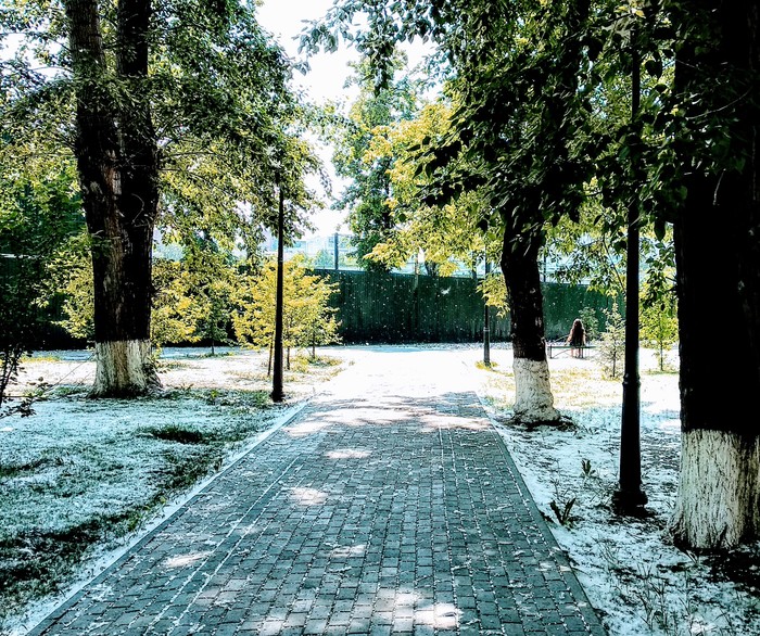 Summer - My, Tyumen, Poplar fluff