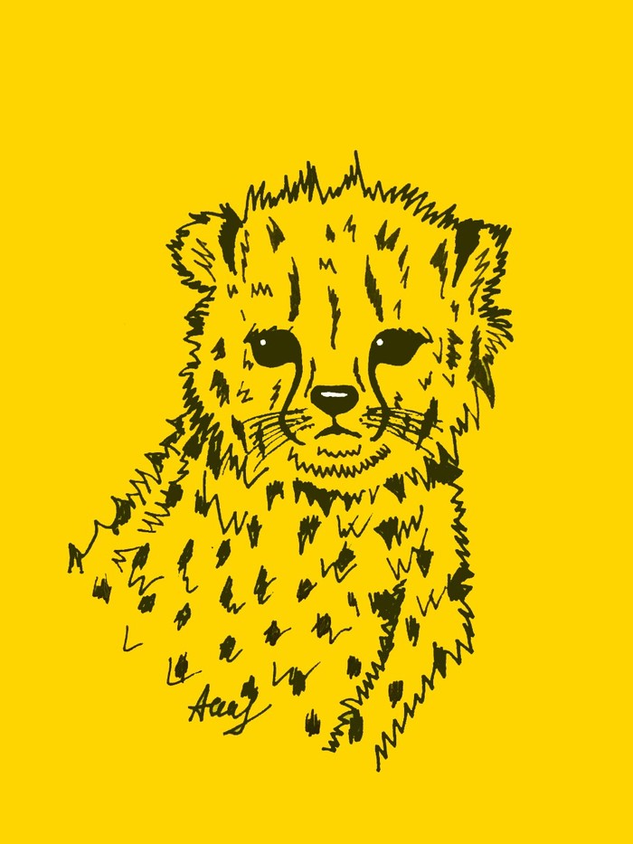 Cheetah  , 