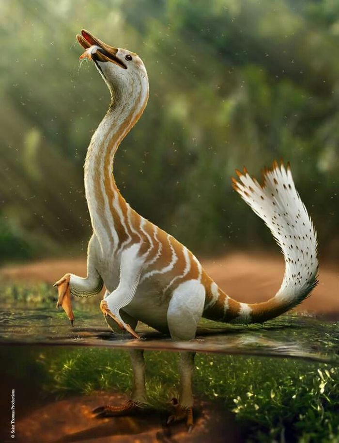 Cretaceous Dino Duck Halschiraptor - Paleontology, The science, Dinosaurs, Evolution, Convergence, Copy-paste, Longpost, Paleoart
