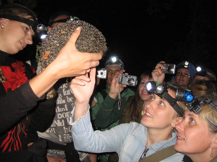 ����� ��� �����...