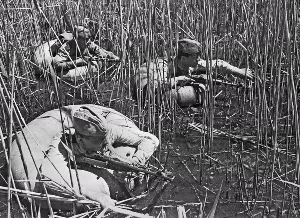 Photo chronicle of victory. - The Great Patriotic War, To be remembered, Longpost