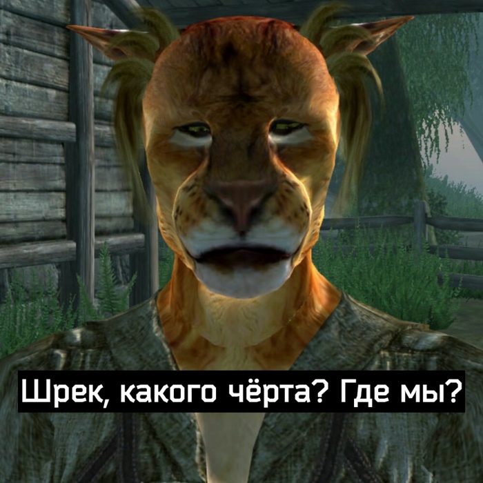 Когда попали в Сиродил - ЧПИД, Игры, Компьютерные игры, Шрек, Oblivion, The Elder Scrolls, Длиннопост