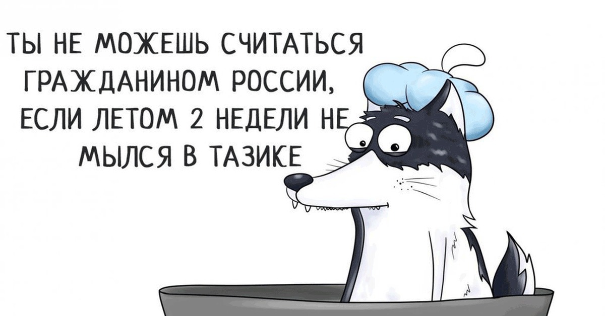 Не можешь противостоять. Хахаски. Хахаски картинки прикольные с юмором. Хахаски новые. Хахаски про внимание.