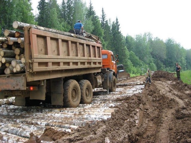 In Udmurtia, they decided to repair one of the problematic sections of the road ... with birches - Udmurtia, Russian roads, Longpost