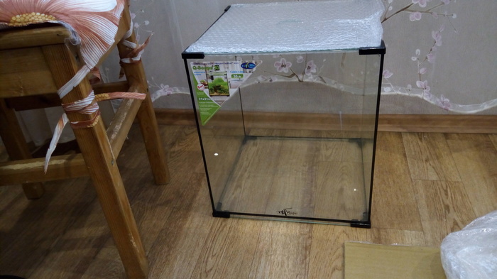 Launching the 30 liter cube part 1. - My, , My, Longpost, Aquarium