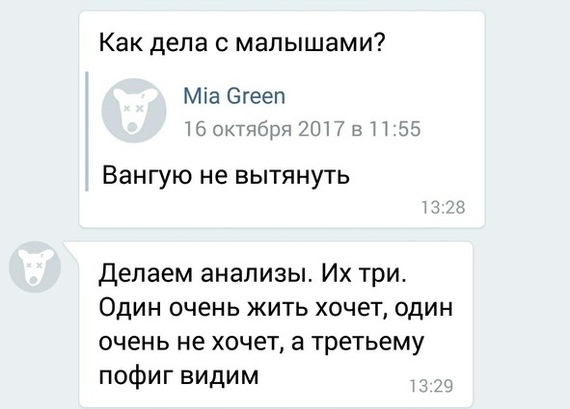 Про Тверской Экзотариум - 2 - Моё, Животные, Защита животных, Частный экзотариум, Экзотариум, Тверская область, Длиннопост, Тверь