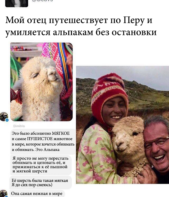 The simple joy of travel - Screenshot, Father, Travels, Peru, Alpaca, Joy, Reddit