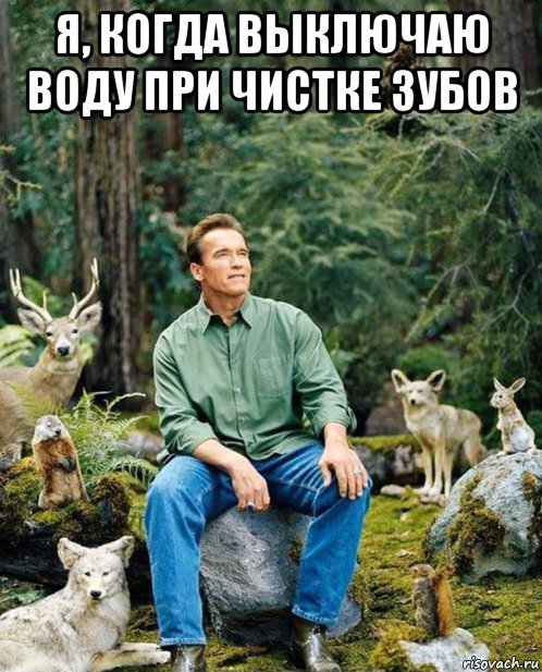 Taking care of the environment - Ecology, Arnold Schwarzenegger, Forest, Picture with text