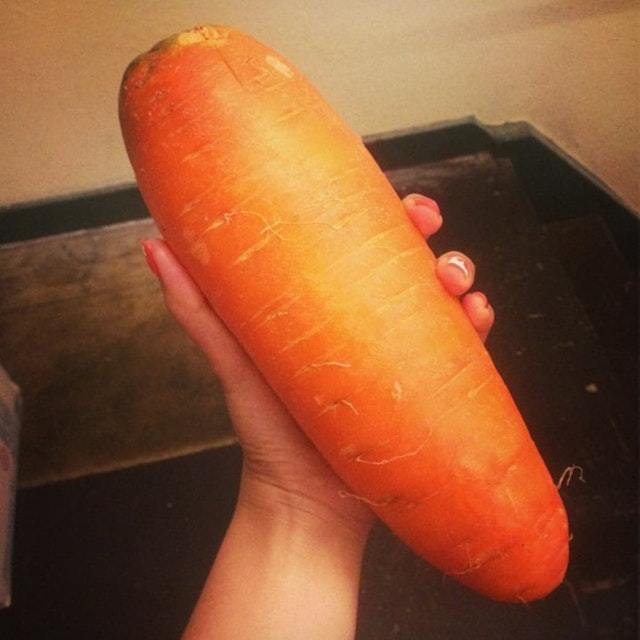 Carrot - Carrot, Vegetables, Giants