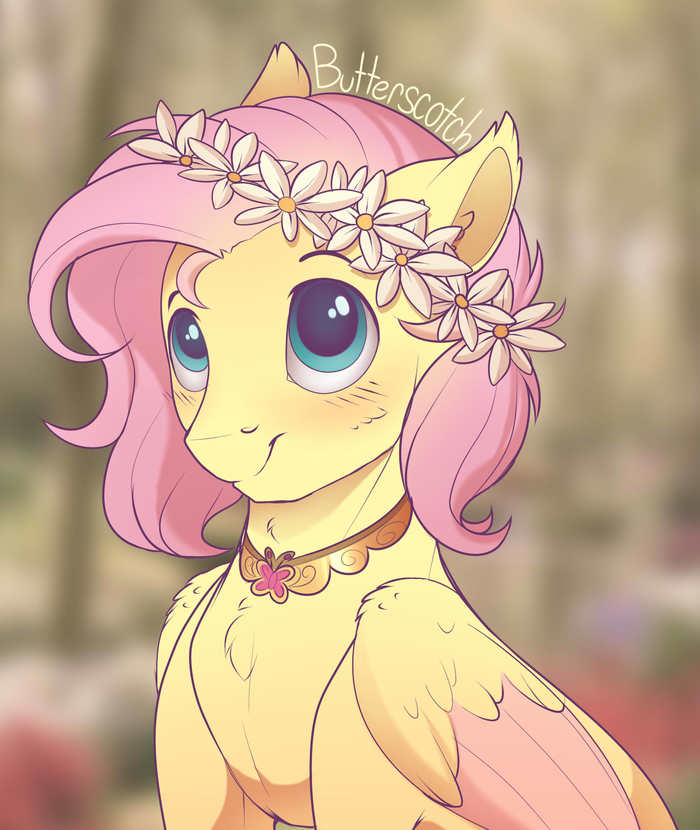   My Little Pony, Fluttershy, Butterscotch,  63, Its a trap!, Evehly