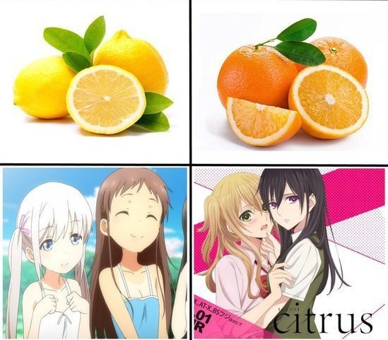 citrus lover - Citrus, Anime, Lemon, Orange, Citrus, Citrus (anime)