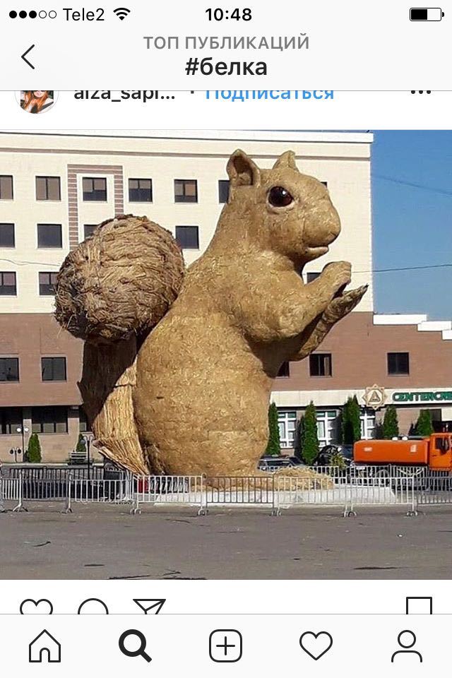 The squirrel came - Almaty, Squirrel, Family, Joy