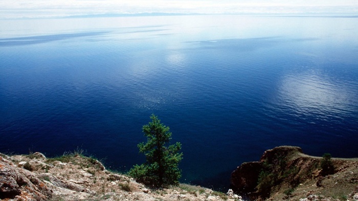 A tourist who fell from the rocky shore of Lake Baikal hung on a tree for 17 hours - Baikal, Туристы, The rescue, Survived