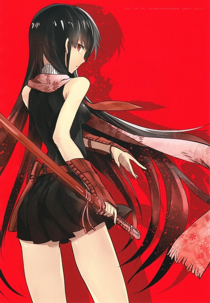 Akame - Аниме, Anime Art, Akame ga Kill, Akame