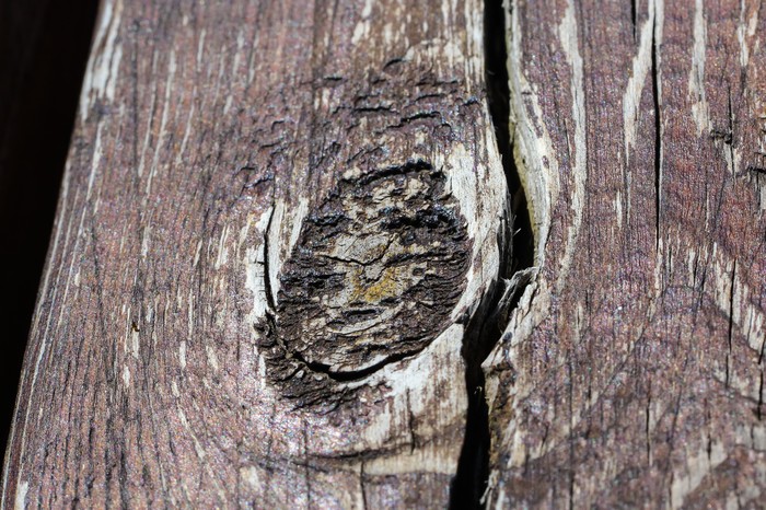 Мир под ногами фотография, длиннопост, Природа