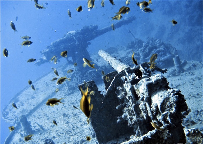 Жемчужина подводного мира Красного моря - подводный музей второй мировой войны дайвинг, Красное море, Египет, увлечение, отпуск, Музей под водой, Затонувшие корабли, длиннопост