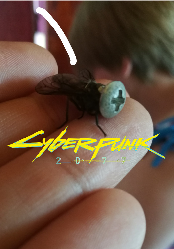 Cyberpunk in reality - My, Cyberpunk 2077, Reality, The photo, Games, Cyberpunk, Memes, Augmentation