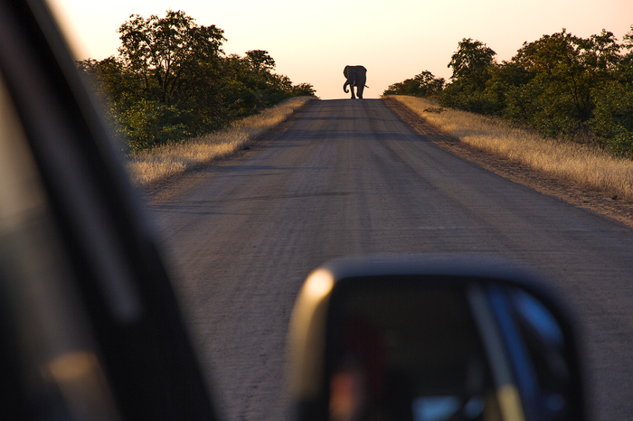 Block - The photo, Africa, South Africa, Kruger National Park, Road trip