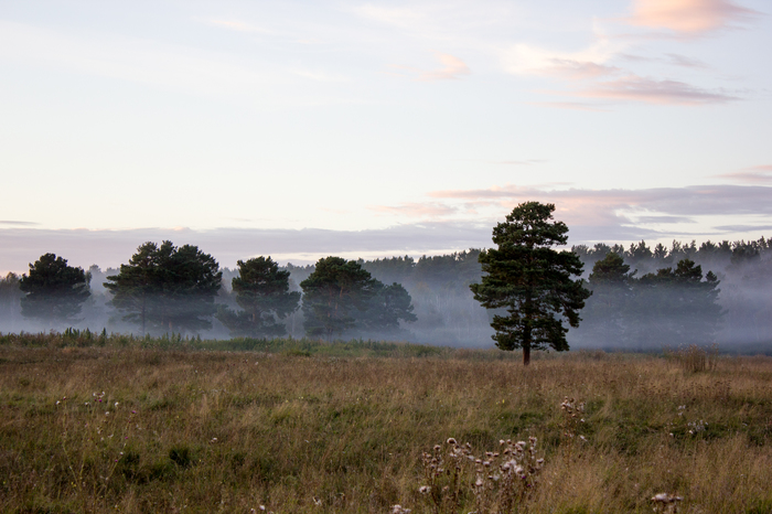 Pair of autumn photos - Autumn, My, Novosibirsk, Smoke, Reflection