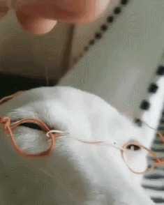 ,    , ?