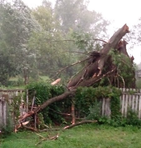 Emergency (dry tree) fell on the fence. - My, Tree, Longpost, A question for lawyers, Legal aid