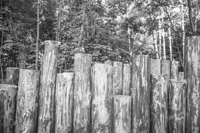 Парк Покровское-Стрешнево | Пикабу