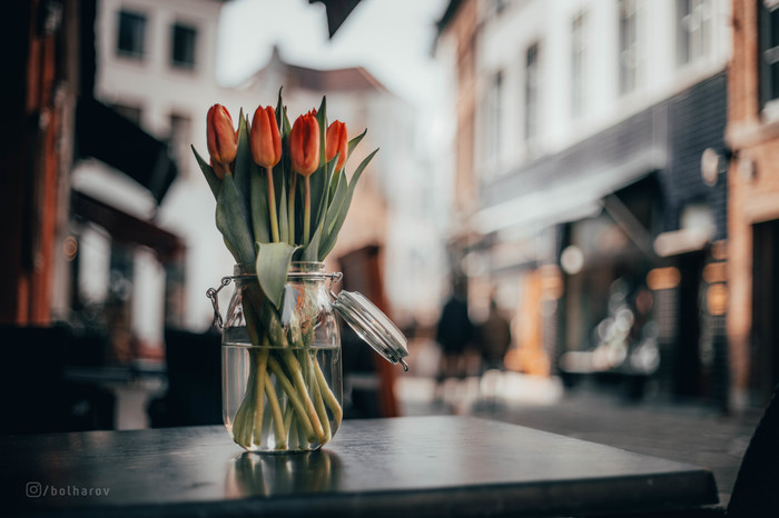 И еще немного Брюгге... Брюгге, Бельгия, фотография, Путешествия, длиннопост