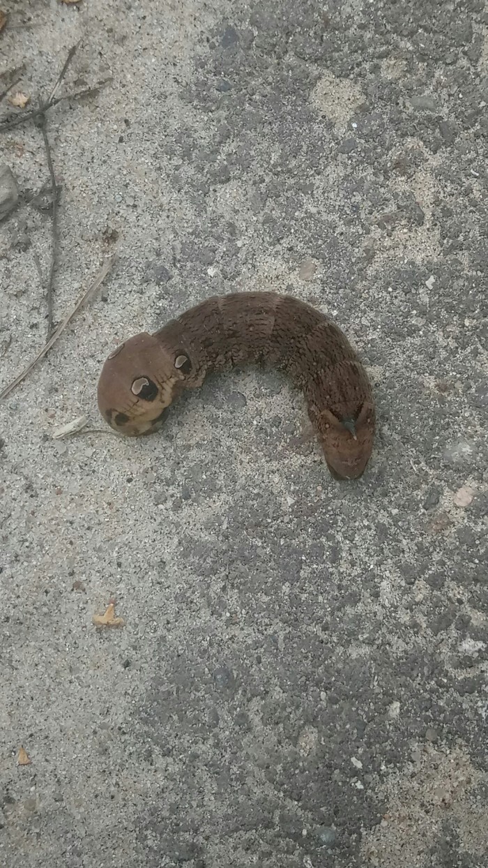 -     ?     ?