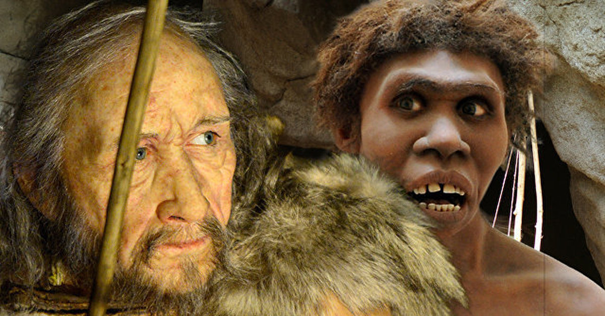 Человек разумный. Неандерталец и хомо сапиенс. Аруна Шилдс последний неандерталец. Неандерталец и кроманьонец. Хомо сапиенс кроманьонец.