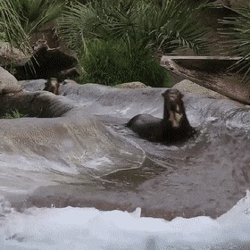 Powerslide   , , , 