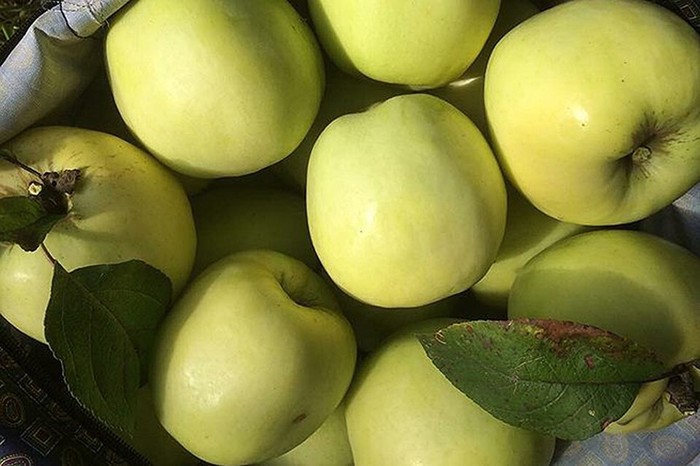    1,5   ,       1 . 98 .