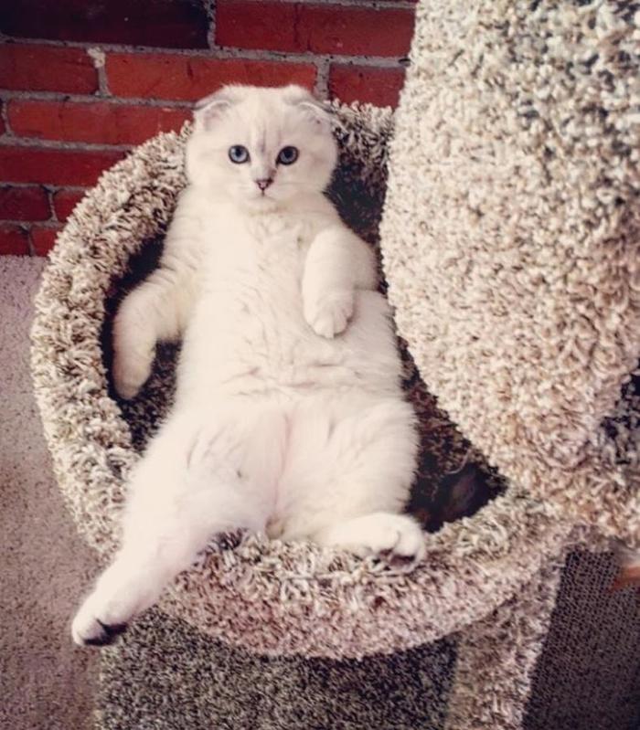 ����� � ������������ �������� ���� ����� ����� �� �����...