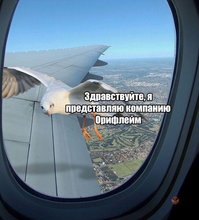 Здравствуйте...