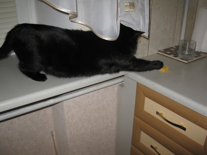 ���������� ��� �� ������ � ���������