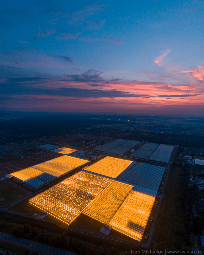 Greenhouses Vyborzhets near Koltushi SUMMER/WINTER - My, Aerial photography, Leningrad region, Koltushi, , Longpost