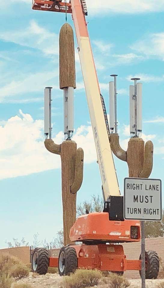 Installation of a cell tower in the form of a cactus - Cactus, Cell tower, Installation