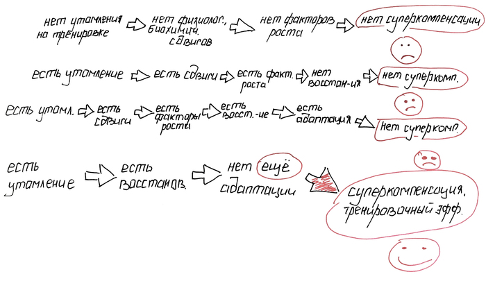 , , . , , , ,    , , Trenerzaycev, , 