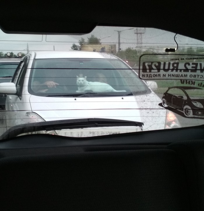 ���������� � ������