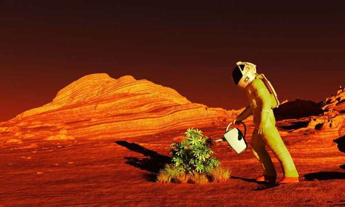 How to grow crops on Mars? - Mars, Colonization, , Longpost