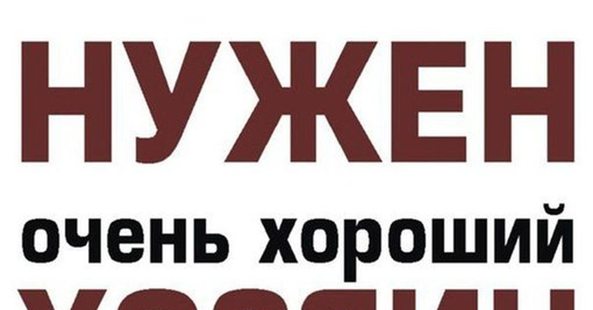 Хороший хозяин. Срочно нужен хозяин. Нужен очень хороший хозяин. Срочно нужен куратор и передержка. Срочно нужен куратор.