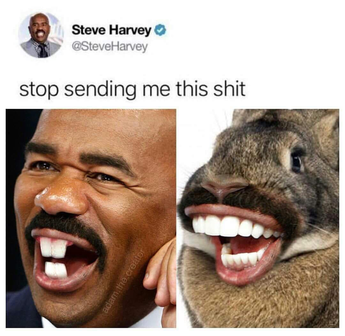 Почему бы и нет