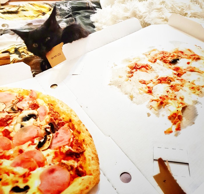 You are not yourself when you're hungry! - My, cat, Pizza, My, Humor, Hunger