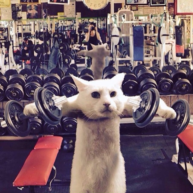 ���� ������, ������!