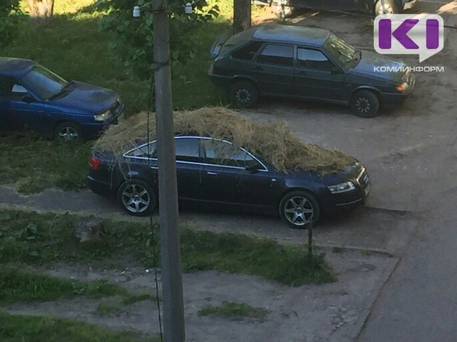 В Сыктывкаре припаркованную в неположенном месте машину обложили сеном