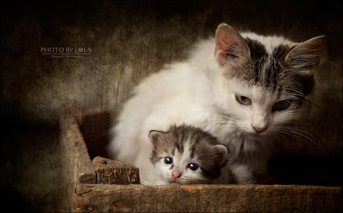 Осторожно, малыш